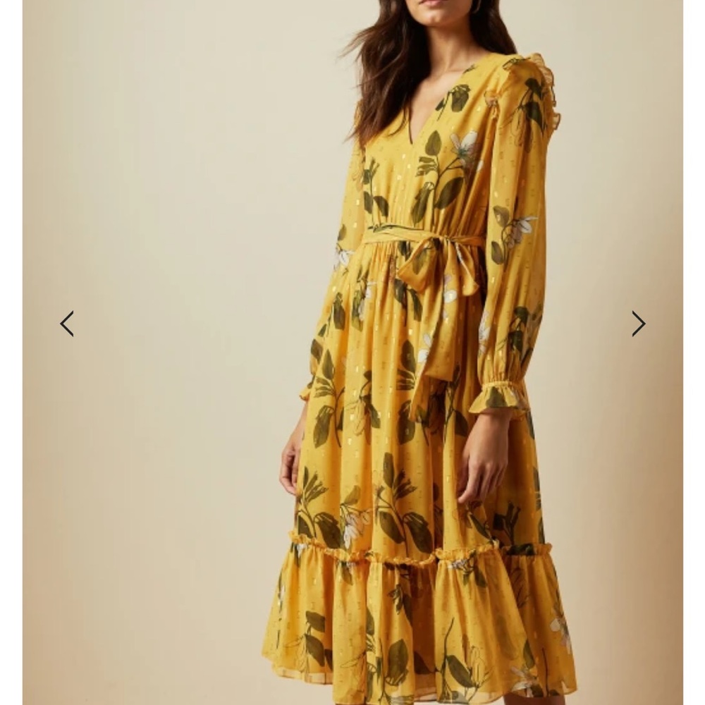 RARE ELISSEA Savanna long sleeved dress